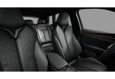 Cupra Terramar #6