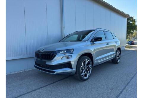 Skoda Karoq #1