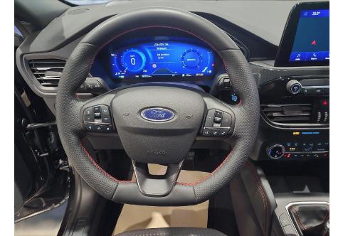 Ford Kuga #9