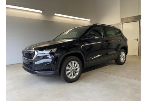 Skoda Karoq #1