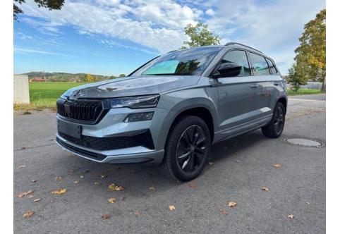 Skoda Karoq #1