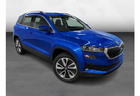 Skoda Karoq #1