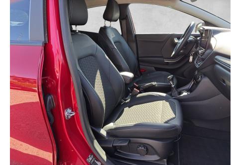 Ford Puma #17