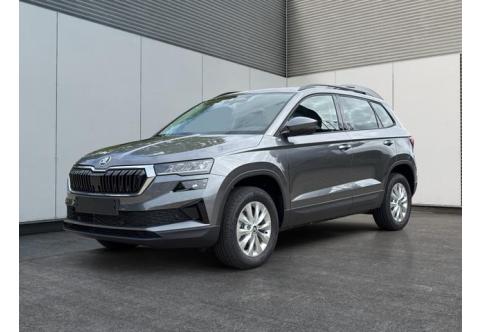 Skoda Karoq #1