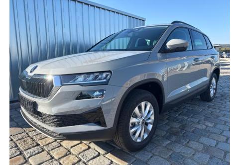 Skoda Karoq #1