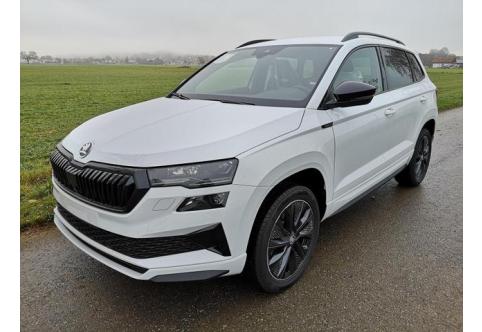 Skoda Karoq #1