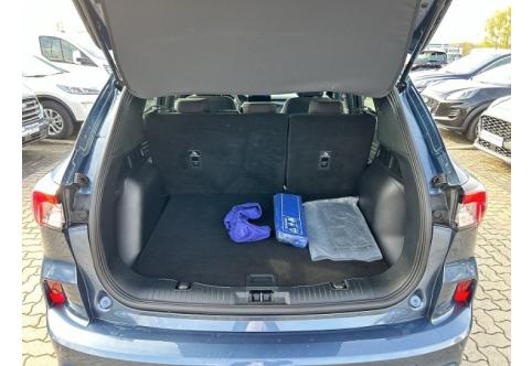 Ford Kuga #9