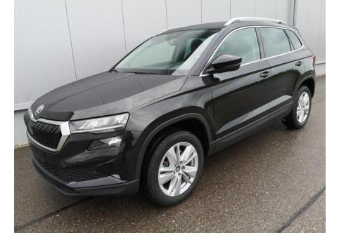Skoda Karoq #1