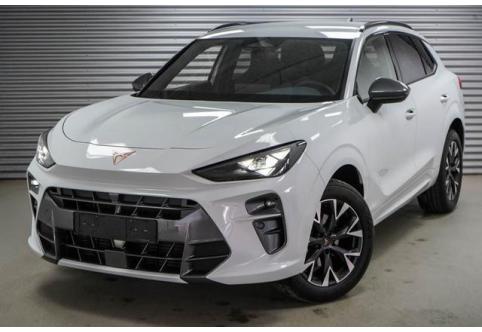 Cupra Terramar #1