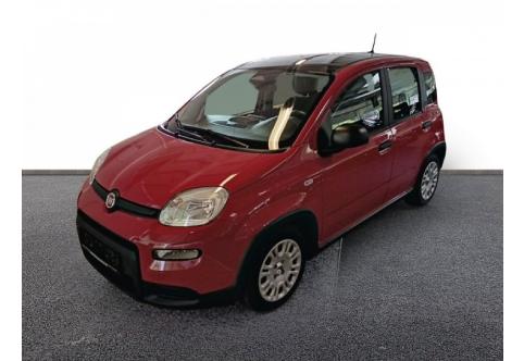 Fiat Panda #1