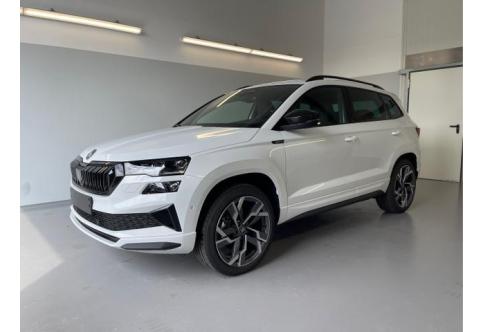 Skoda Karoq #1