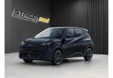 BYD DOLPHIN SURF