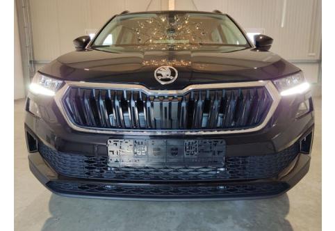 Skoda Karoq #1