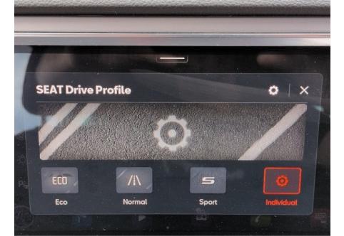 Seat Ateca #14