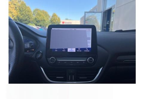 Ford Puma #19
