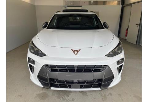 Cupra Terramar #2
