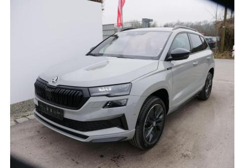 Skoda Karoq #1