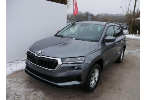 Skoda Karoq #1