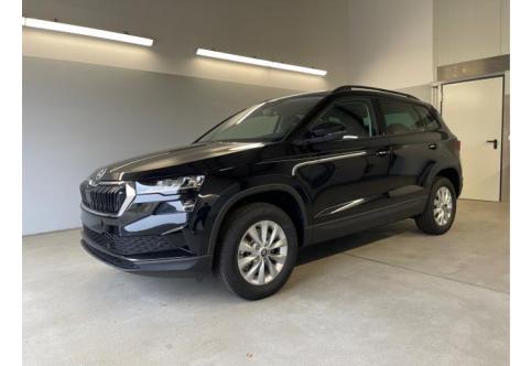 Skoda Karoq #1