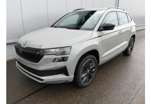 Skoda Karoq #1