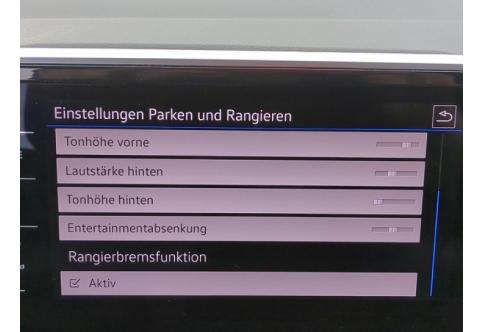 VW T-Roc #12