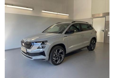 Skoda Karoq #1