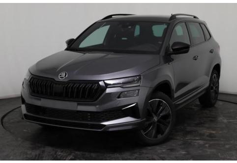 Skoda Karoq #1