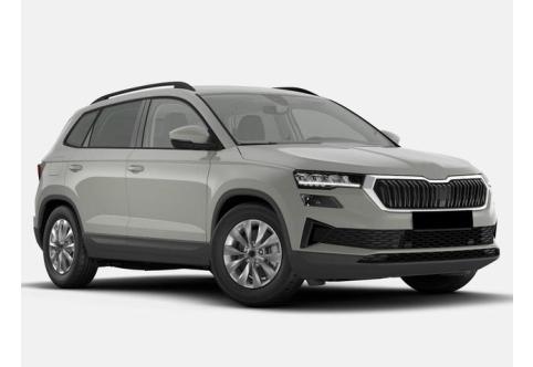 Skoda Karoq #1