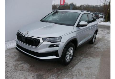 Skoda Karoq #1