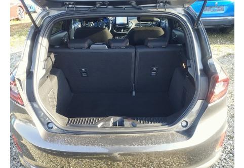 Ford Fiesta #22