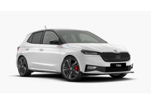Skoda Fabia #1