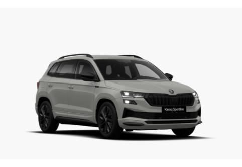 Skoda Karoq #1