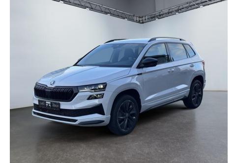 Skoda Karoq #1