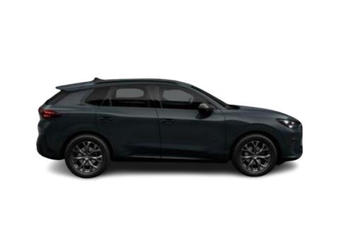 Cupra Terramar #4
