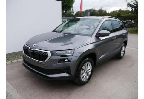 Skoda Karoq #1