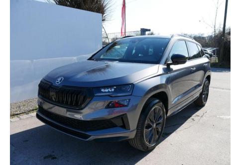 Skoda Karoq #1