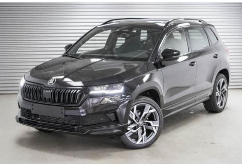 Skoda Karoq #1