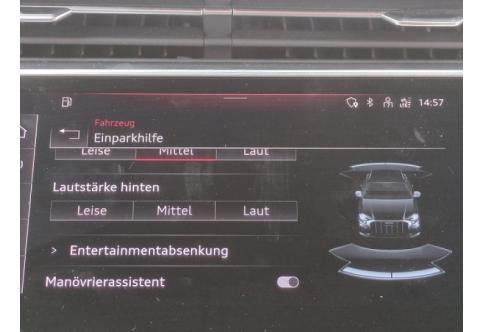 Audi SQ8 #15
