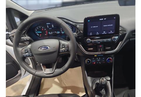 Ford Fiesta #10