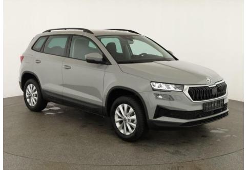 Skoda Karoq #1