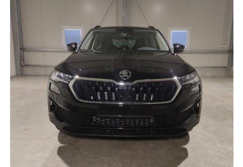 Skoda Karoq #1