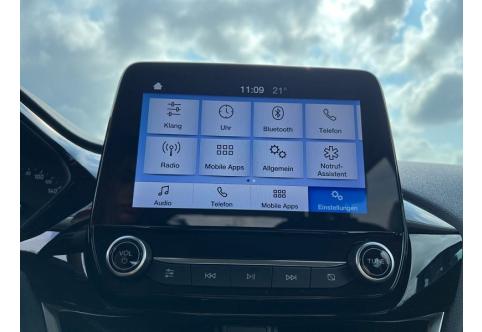 Ford Fiesta #10
