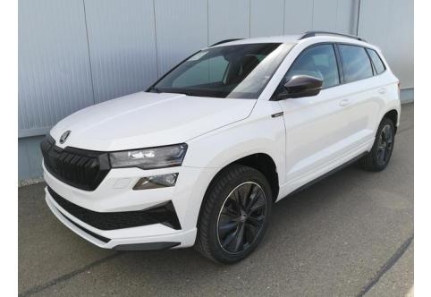 Skoda Karoq #1