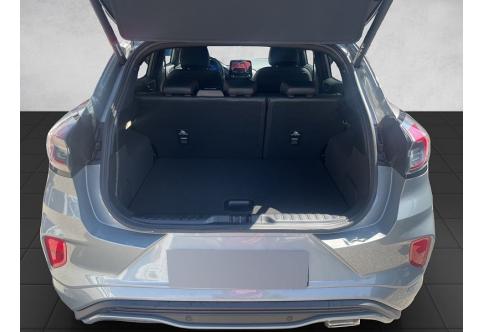Ford Puma #10