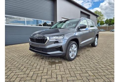 Skoda Karoq #2