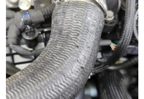 Renault Grand Scenic #1