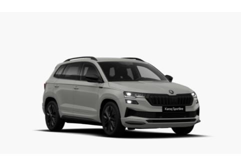 Skoda Karoq #1