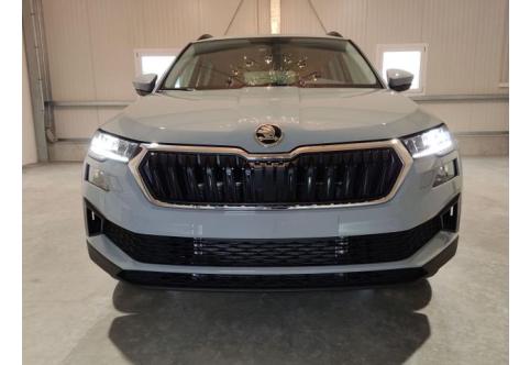 Skoda Karoq #1