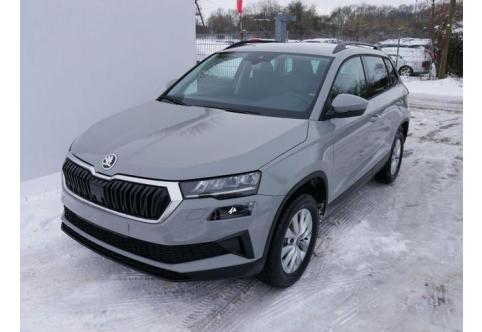 Skoda Karoq #1