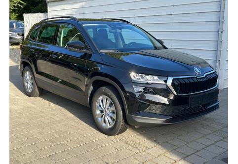 Skoda Karoq #2